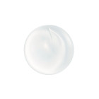 Shiseido 