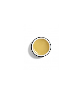 Sisley (Restructuring Nourish ing Balm) balzamas pažeistiems, sausiems ir lūžinėjantiems plaukams 125 g