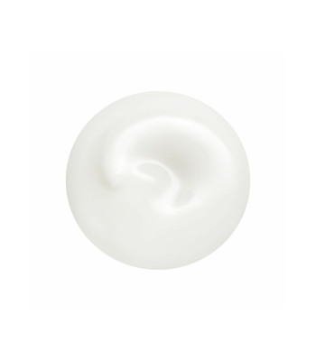 Shiseido Revita lizer odos skystis (Total Revita lizer Light Fluid) 70 ml