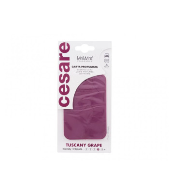 Mr-Mrs Fragrance Cesare, 1 pc