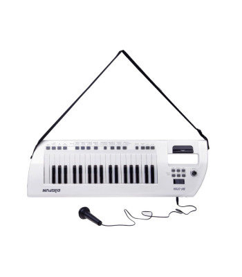 Elektrinis pianinas su mikrofonu, žaislinis instrumentas vaikams IN0173
