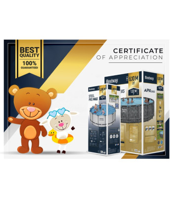 Bestway APX365 rėminis baseinas 610x132cm VISUS METUS Siurblys Kopėčios 561KE