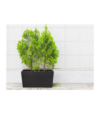 Termo sodintuvas Patio 76 cm juodas