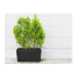 Termo sodintuvas Patio 76 cm juodas