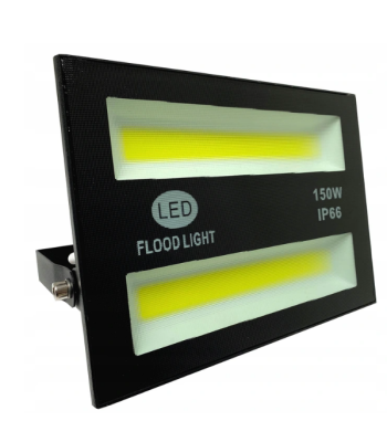 LED COB šviestuvas Flood light 100W